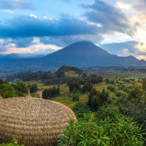 Bisate lodge